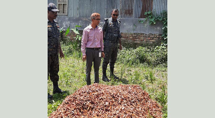 পঁচা মরিচ দিয়ে তৈরি করা হতো গুঁড়ো মসলা!